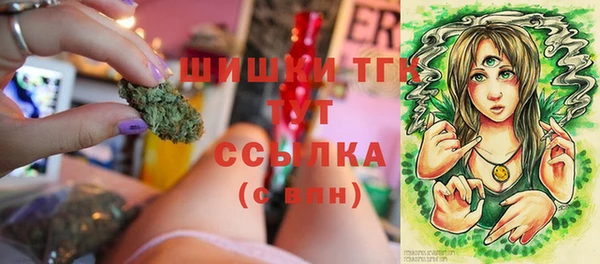 прущие грибы Баксан