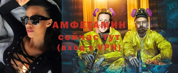 прущие грибы Баксан