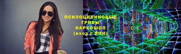 прущие грибы Баксан