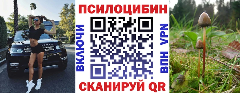 закладка Печора MEGA вход Псилоцибиновые грибы прущие грибы
